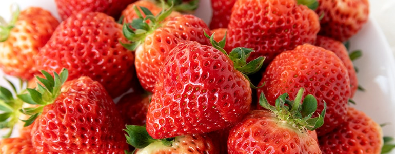 苺新潟県産コシヒカリ22kg 202101_echigo_770.png