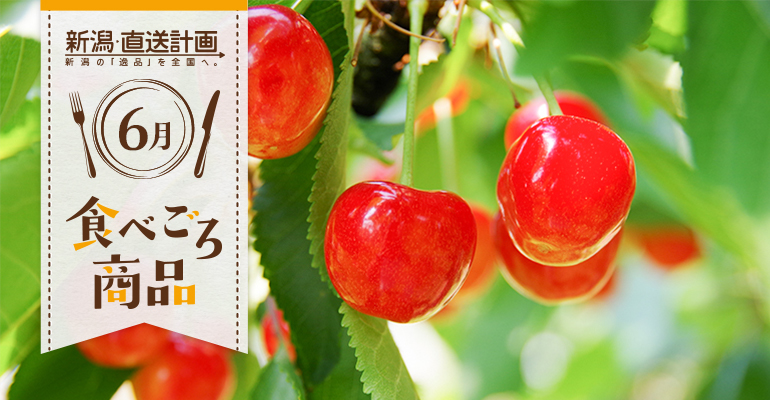6月の食べごろ商品