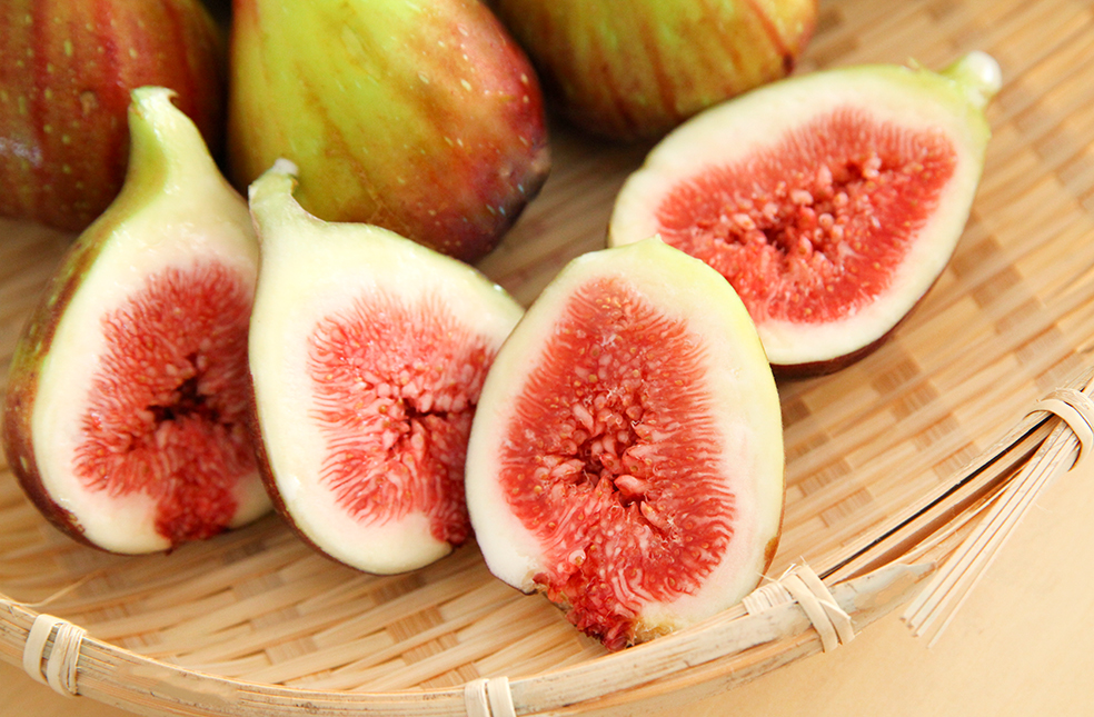 新潟直送計画 新潟産 朝採り生イチジク あべ農園