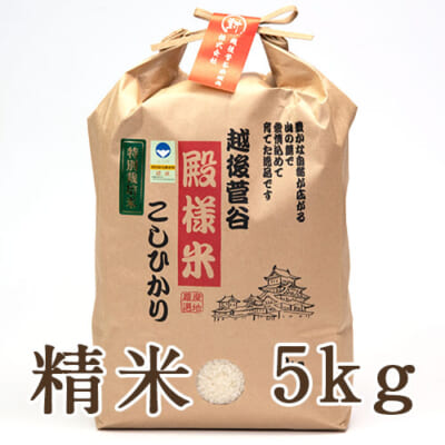 【定期購入】越後菅谷殿様米コシヒカリ（特別栽培米）精米5kg