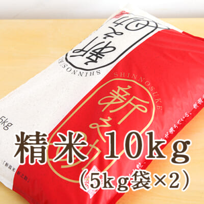 【定期購入】新潟産 新之助 精米10kg（5kg袋×2）