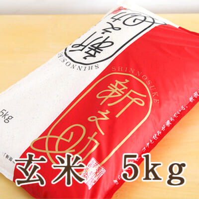 【定期購入】新潟産 新之助 玄米5kg