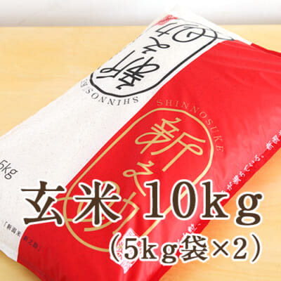 【定期購入】新潟産 新之助 玄米10kg（5kg袋×2）