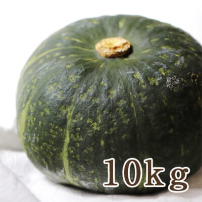 新潟県産 かぼちゃ 10kg