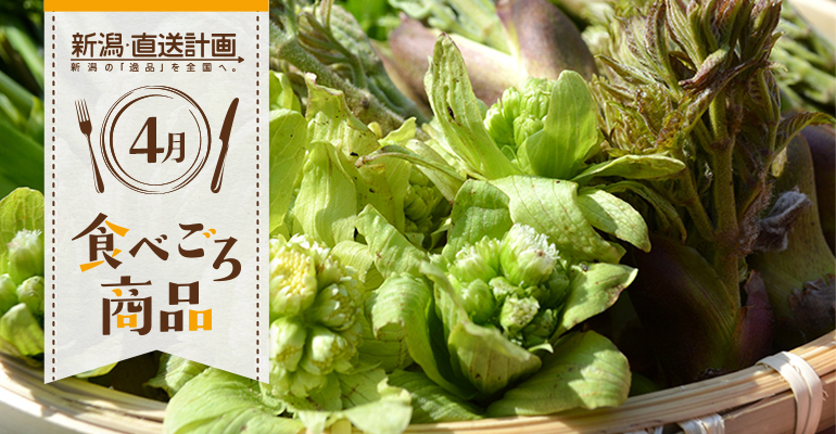 4月の食べごろ商品