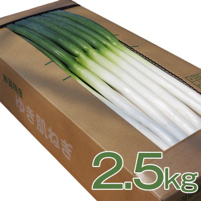ゆき肌ねぎ 2.5kg(20～25本)