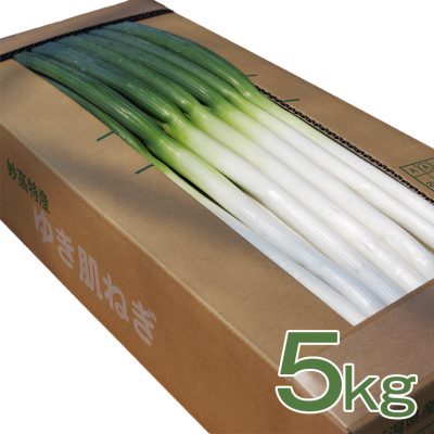 ゆき肌ねぎ 5kg(40～45本)