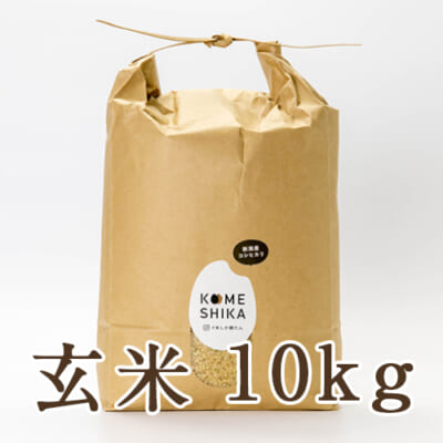 新潟産コシヒカリ 10kg