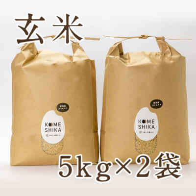 新潟産コシヒカリ 10kg（5kg×2袋）