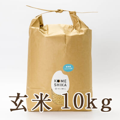 【定期購入】新潟産こしいぶき 10kg