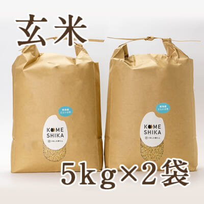 【定期購入】新潟産こしいぶき 10kg（5kg×2袋）