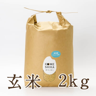【定期購入】新潟産こしいぶき 2kg
