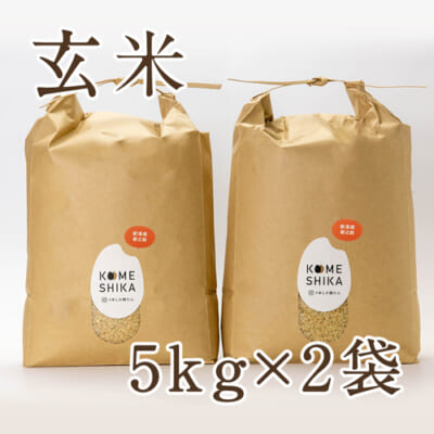 【定期購入】新潟産新之助 10kg（5kg×2袋）