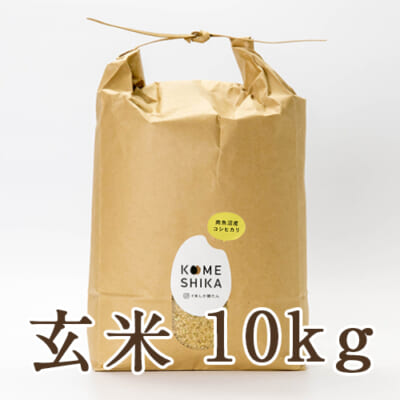 【定期購入】南魚沼産コシヒカリ 10kg