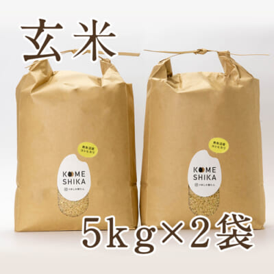 【定期購入】南魚沼産コシヒカリ 10kg（5kg×2袋）