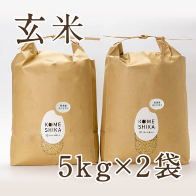 佐渡産コシヒカリ 10kg（5kg×2袋）