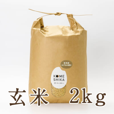 【定期購入】新潟産みずほの輝き 2kg
