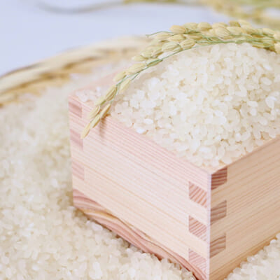お米の食味を損なわない製法の「無洗米」