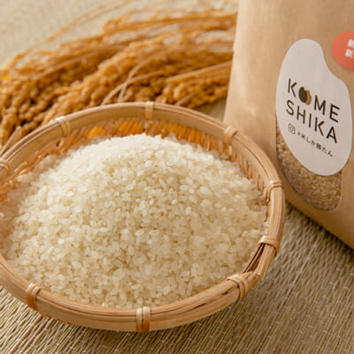 日本製造 令和4年産玄米新潟新之助 30kg（10kg×3）精米無料☆農家直送