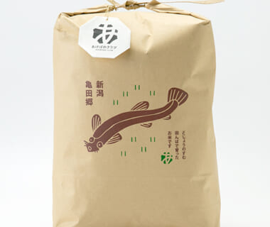 令和8年度米 新潟県産コシヒカリ（従来品種）