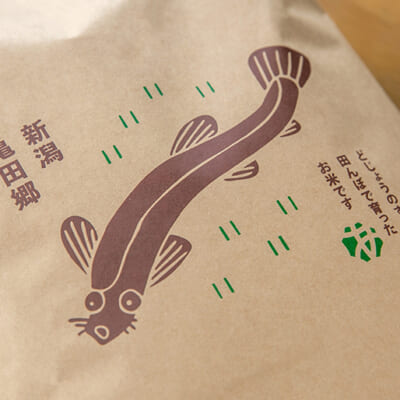 亀田郷を知ってほしいという想いを込めたパッケージ