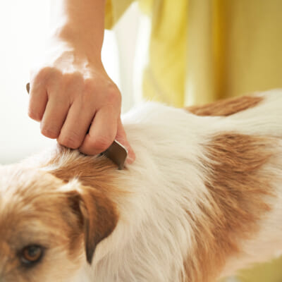 コンパクトサイズだから小回りが利きます！