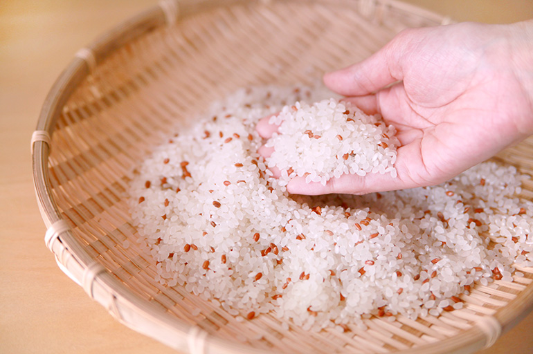 非常に栄養価の高いお米