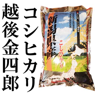 令和3年度米 新潟産 越後金四郎コシヒカリ（特別栽培米）