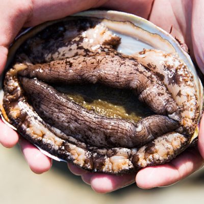 海洋深層水により、洗練された味わいに