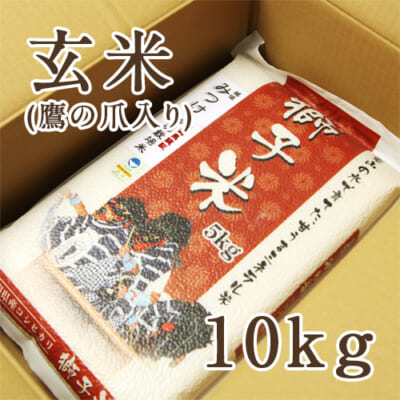 見附産コシヒカリ 獅子米 玄米10kg（5kg×2）