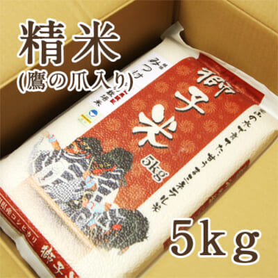 【定期購入】見附産コシヒカリ 獅子米 精米5kg