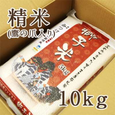 【定期購入】見附産コシヒカリ 獅子米 精米10kg（5kg×2）