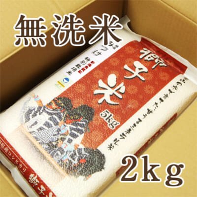 【定期購入】見附産コシヒカリ 獅子米 無洗米2kg
