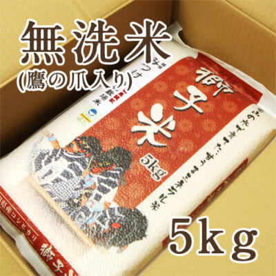 【定期購入】見附産コシヒカリ 獅子米 無洗米5kg