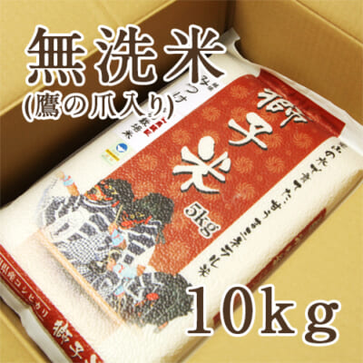 【定期購入】見附産コシヒカリ 獅子米 無洗米10kg（5kg×2）