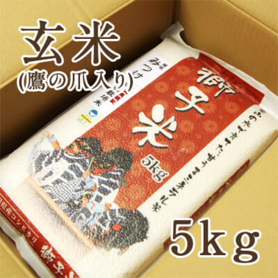 【定期購入】見附産コシヒカリ 獅子米 玄米5kg
