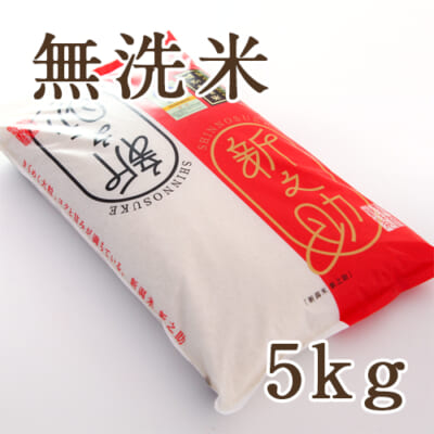 新潟産 新之助（特別栽培米）無洗米5kg