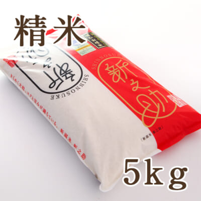 新潟産 新之助（特別栽培米）精米 5kg