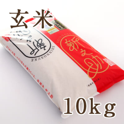 新潟産 新之助（特別栽培米）玄米10kg（5kg×2）