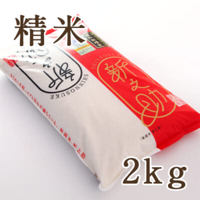 【定期購入】新潟産 新之助（特別栽培米）精米2kg