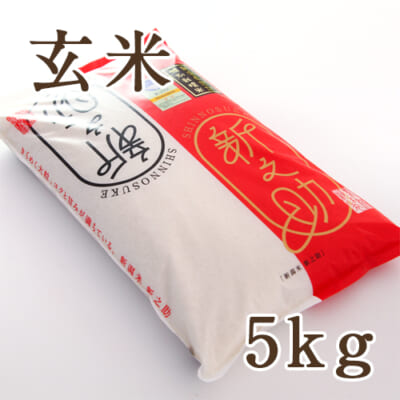 【定期購入】新潟産 新之助（特別栽培米）玄米5kg