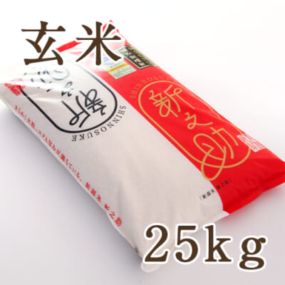 【定期購入】新潟産 新之助（特別栽培米）玄米25kg（5kg×5）