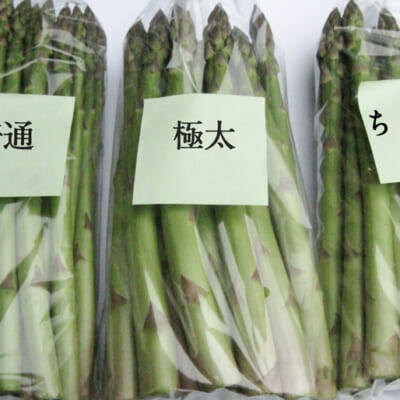 「普通」「極太」「ちょい太」イメージ