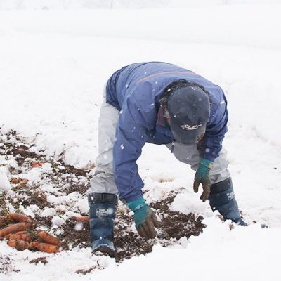 豪雪津南にんじんジュース・トマトジュース