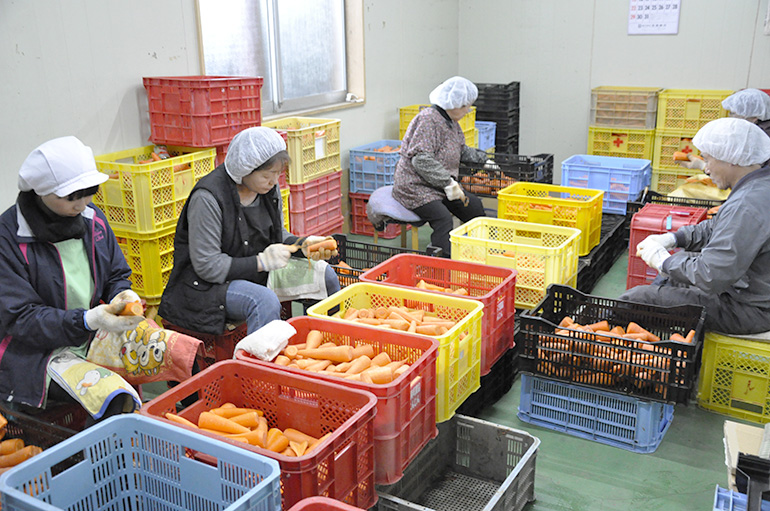 3. 皮むきは1本1本手作業