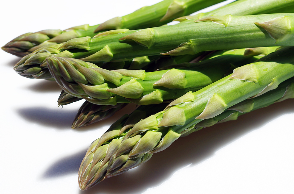 レア　希少　アスパラガス　斑入り fujimiya_004_01.jpg