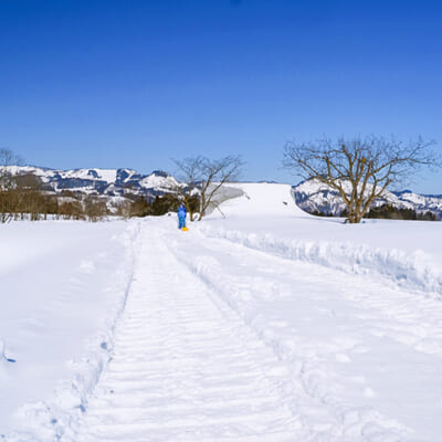 豊かな自然環境が、美味しいさつまいもを育む