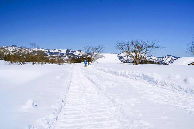 豊かな自然環境が、美味しいさつまいもを育む