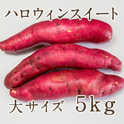 魚沼産 ハロウィンスウィート 大サイズ 5kg