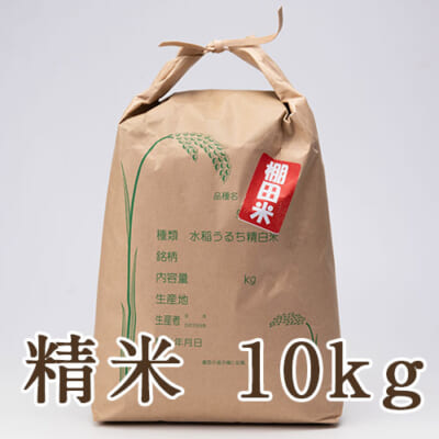 【定期購入】魚沼産コシヒカリ（棚田栽培）精米10kg